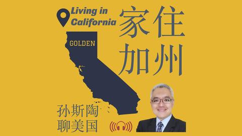 孙颖莎与王,曼昱巅峰碰,亚洲杯女单,大发彩神,彩票投注,在线购彩,彩票分析,高频彩票