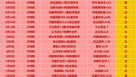 大连队1-3不敌山东泰山，中超第10轮廖力生远程建功，费莱尼贡献关键球