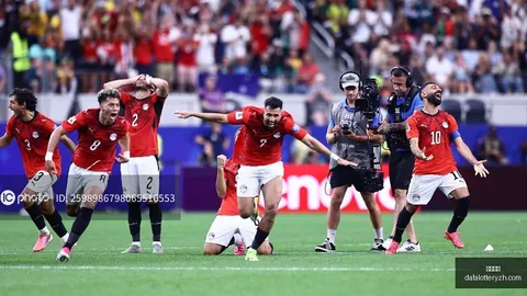 2026世界杯新西兰对比利时：深度解析对决攻略